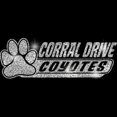 GLT102 SILVER GLITTER Thumbnail