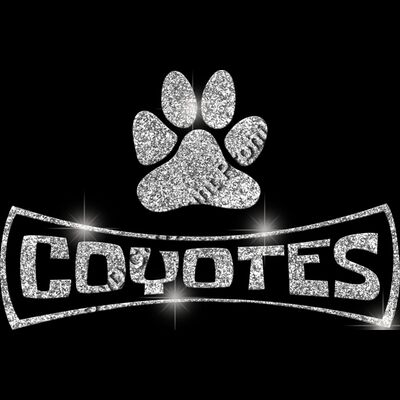 GLT94 SILVER GLITTER Thumbnail